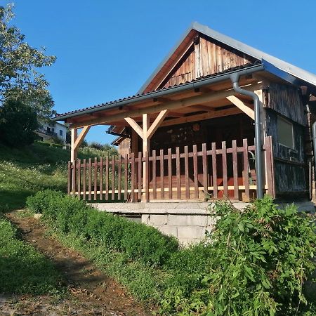 Vila Hiska Ob Gozdu Polzela Exteriér fotografie