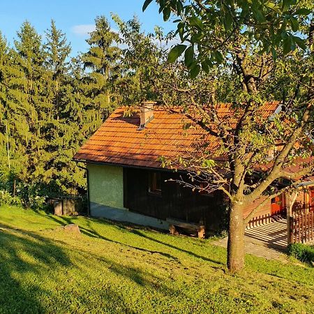 Vila Hiska Ob Gozdu Polzela Exteriér fotografie
