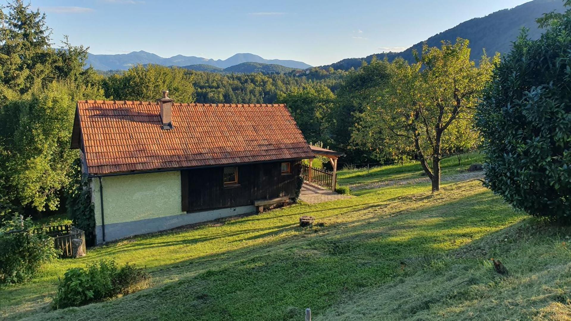 Vila Hiska Ob Gozdu Polzela Exteriér fotografie