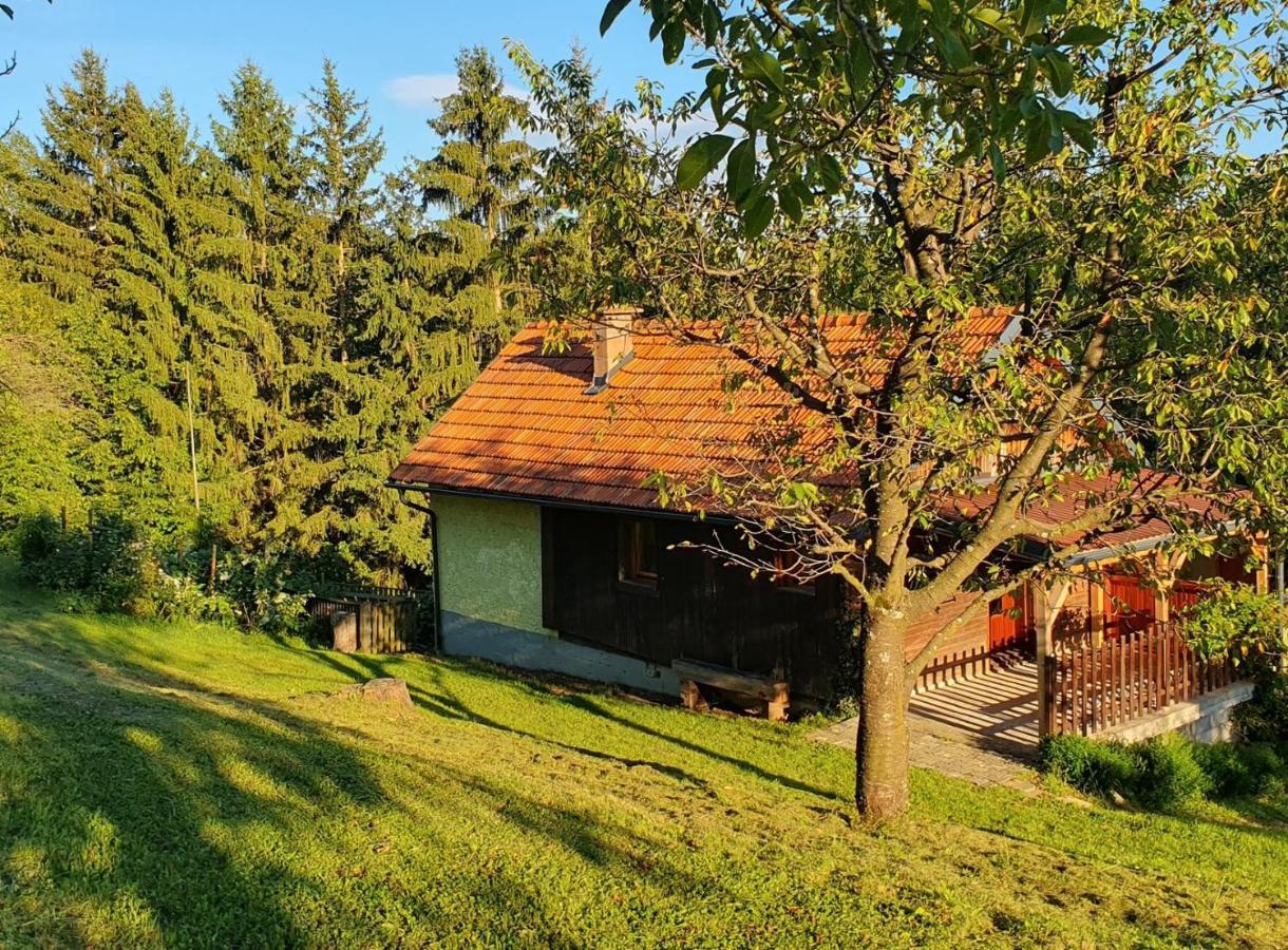 Vila Hiska Ob Gozdu Polzela Exteriér fotografie
