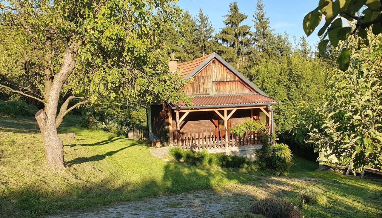 Vila Hiska Ob Gozdu Polzela Exteriér fotografie